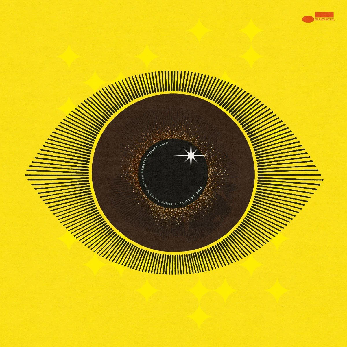 Meshell Ndegeocello - No More Water: The Gospel (LP) - Image 2