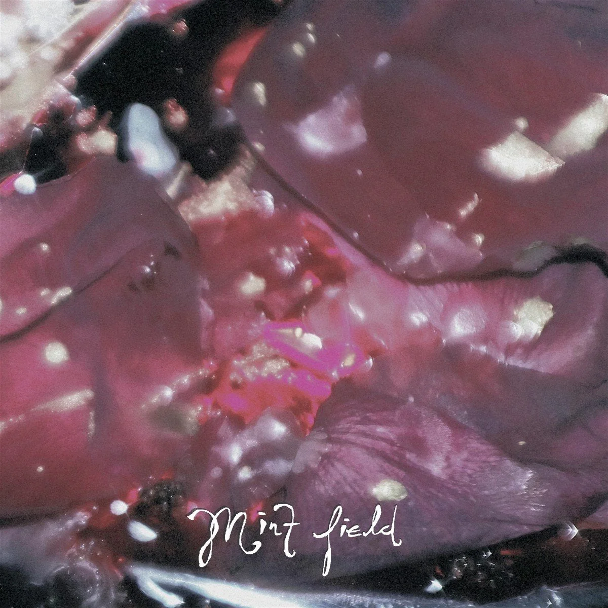 Mint Field - Aprender A Ser (Fruit Punch LP) - Image 2