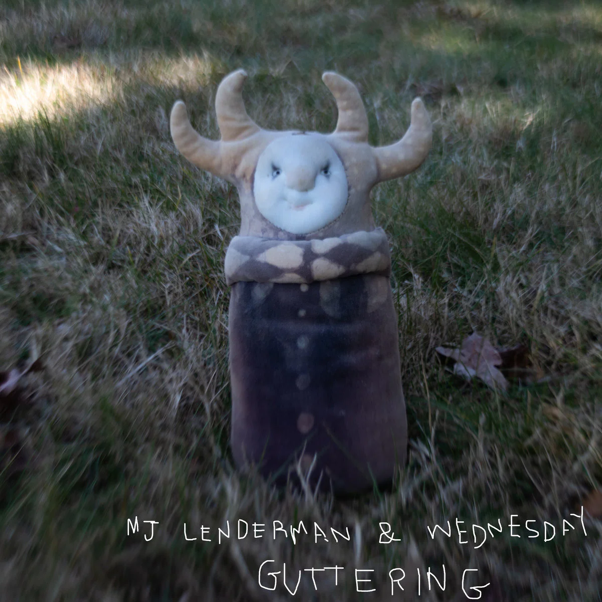 MJ Lenderman & Wednesday - Guttering (LP) - Image 2