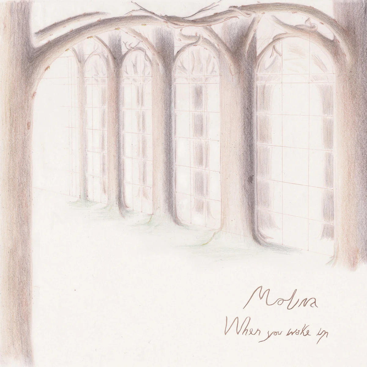 Molina - When You Wake Up (Clear vinyl LP)