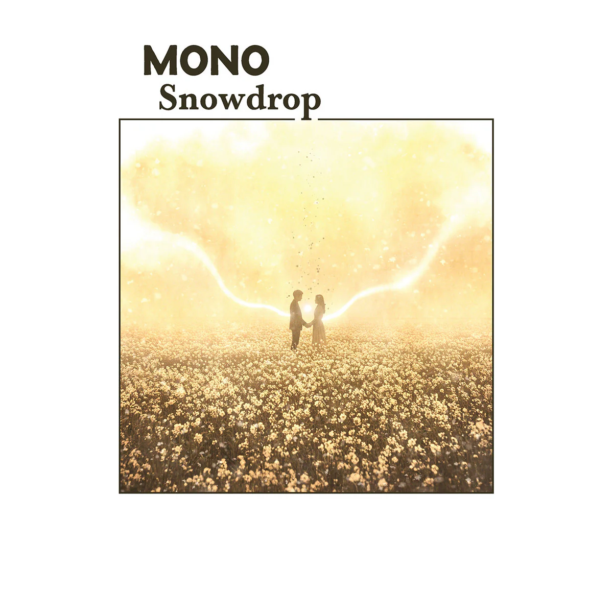 Mono - Snowdrop (Boysenberry LP) - Image 2