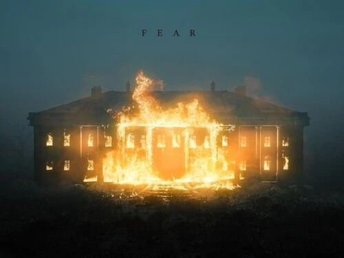 NF - Fear (LP)