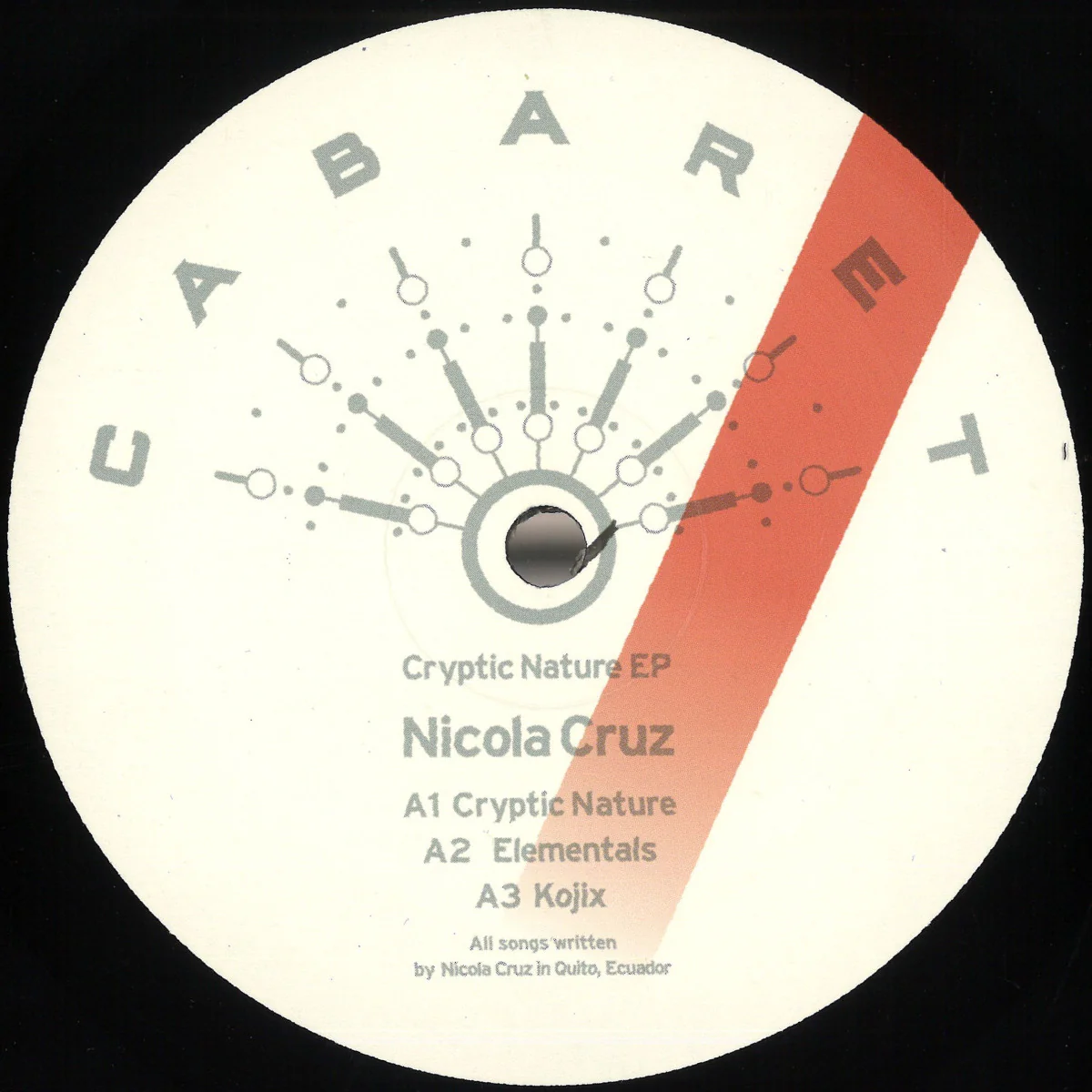 Nicola Cruz - Cryptic Nature EP (12")