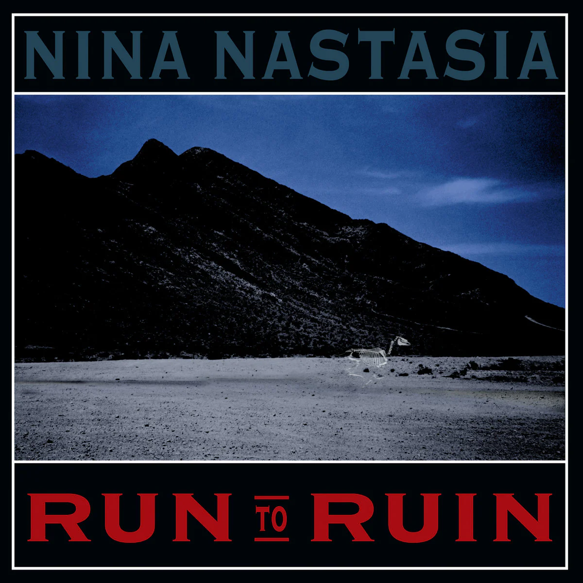 Nina Nastasia - Run To Ruin (Dark Blue LP) - Image 2