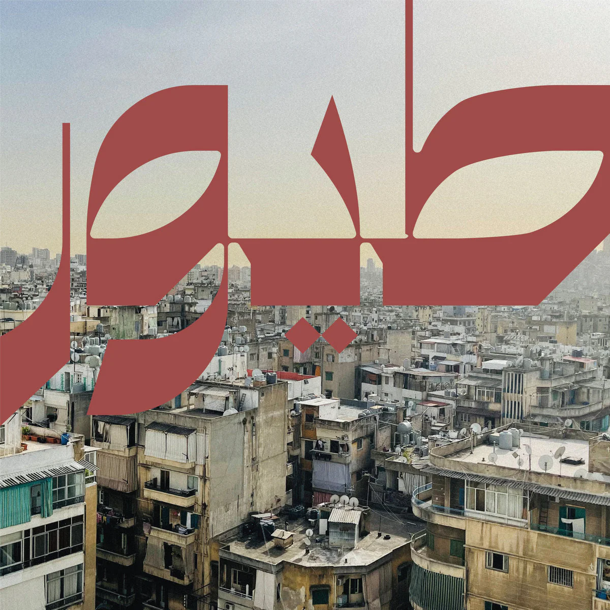Nour Sokhon - Beirut Birds (LP)