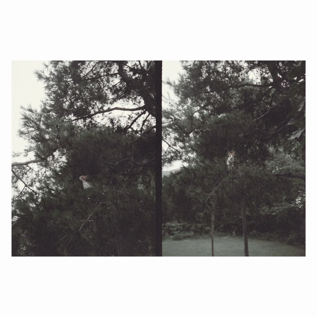 Okkyung Lee - just like any other day (LP) - Image 2