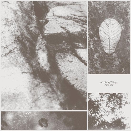 Park Jiha - All Living Things (LP) - Image 2