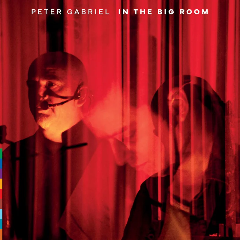 Peter Gabriel - In The Big Room (LP) - Image 3