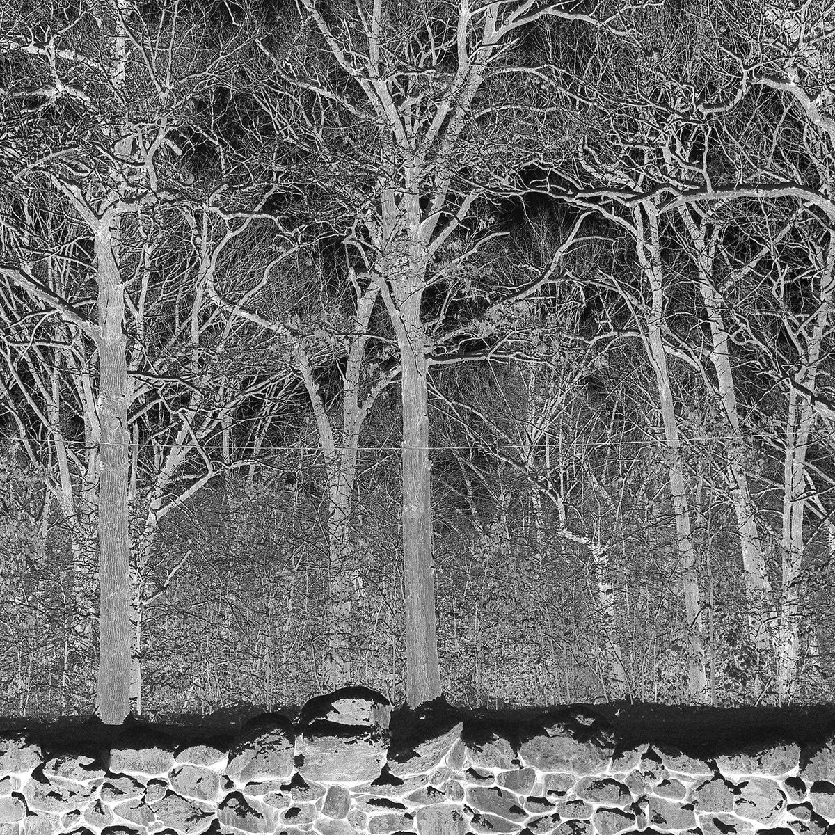 Pile - Sunshine and Balance Beams (Boris Purple LP) - Image 2