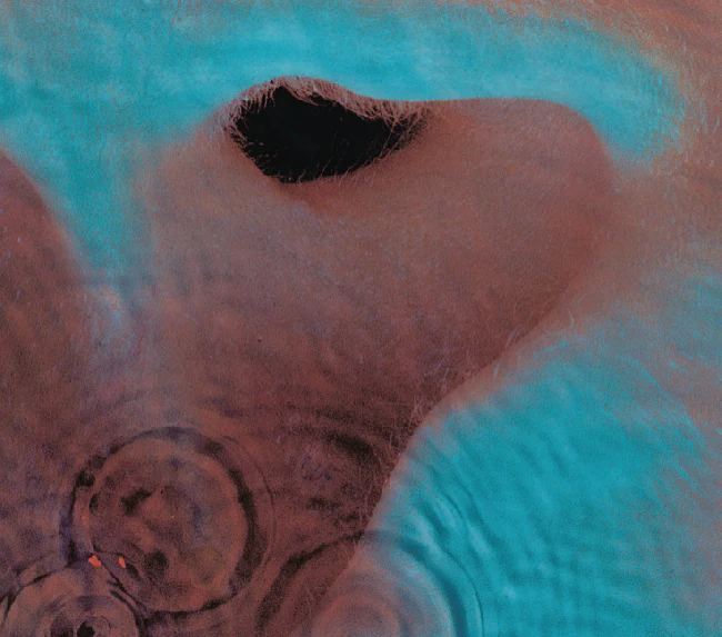 Pink Floyd - Meddle (LP)