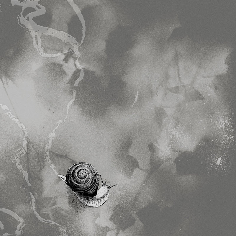 Rats On Rafts - Deep Below  (Grey Coloured LP)