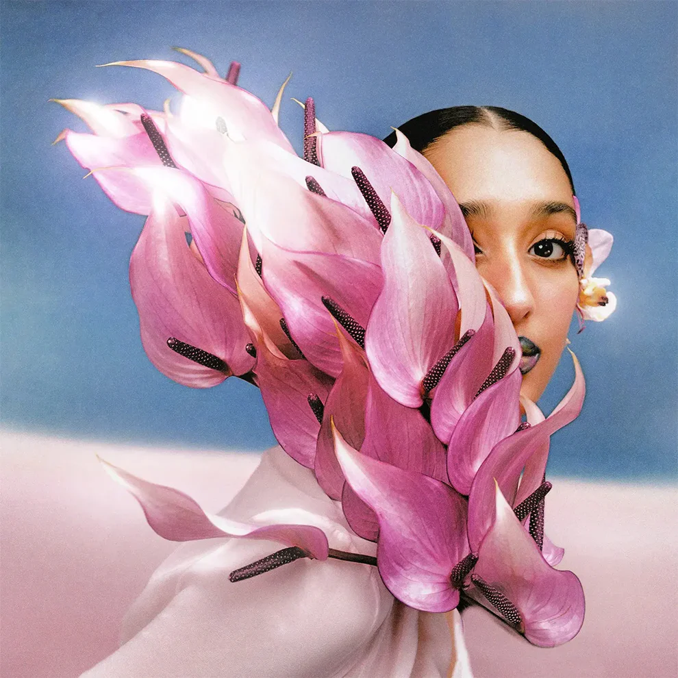 Raveena - Where The Butterflies Go In The Rain (Clear Coloured LP) - Image 2