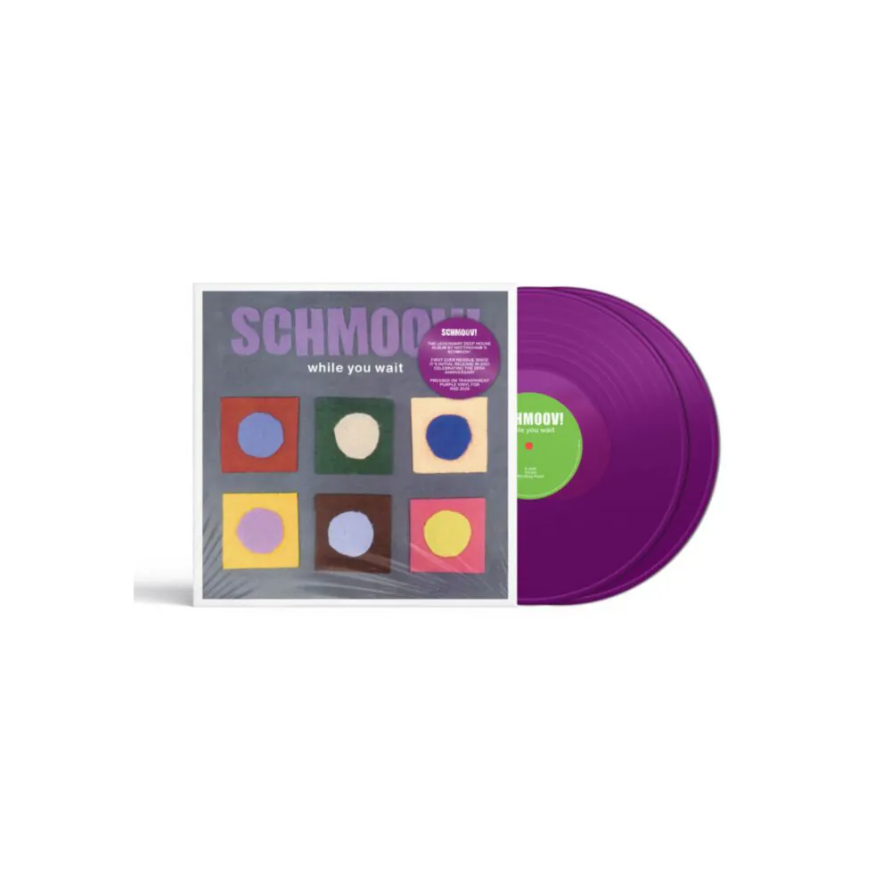 Schmoov! - While You Wait (Purple Vinyl LP) - Image 2