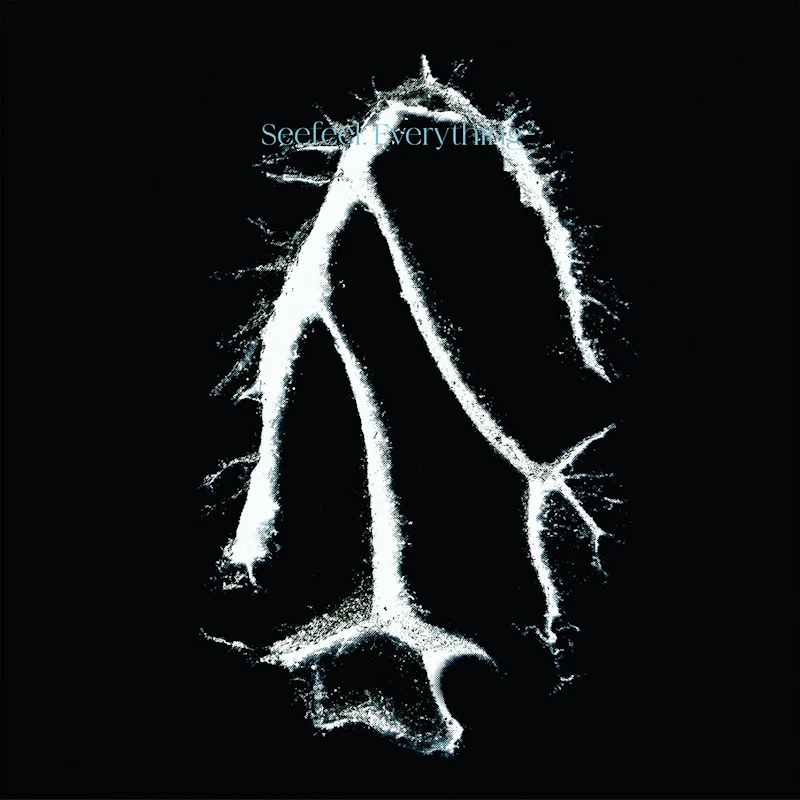 Seefeel - Everything Squared (LP) - Image 2
