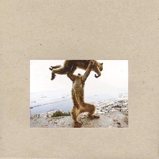Shellac - Dude Incredible (LP)