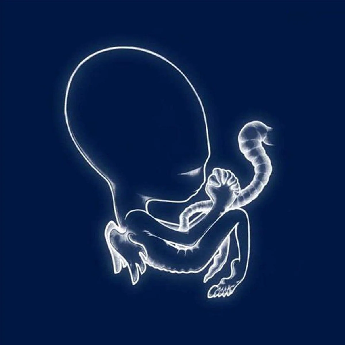 Sigur Ros - Agaetis Byrjun (LP)