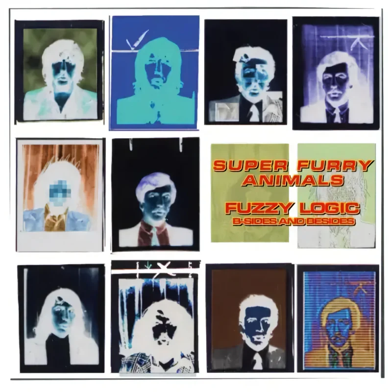 Super Furry Animals - Fuzzy Logic B-Sides And Besides (Green Bottle LP)