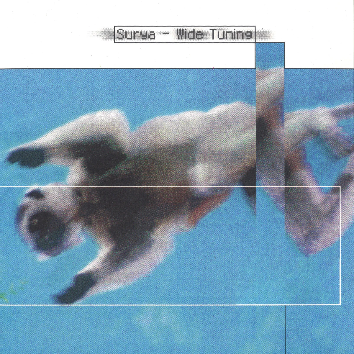 Surya - Wide Tuning