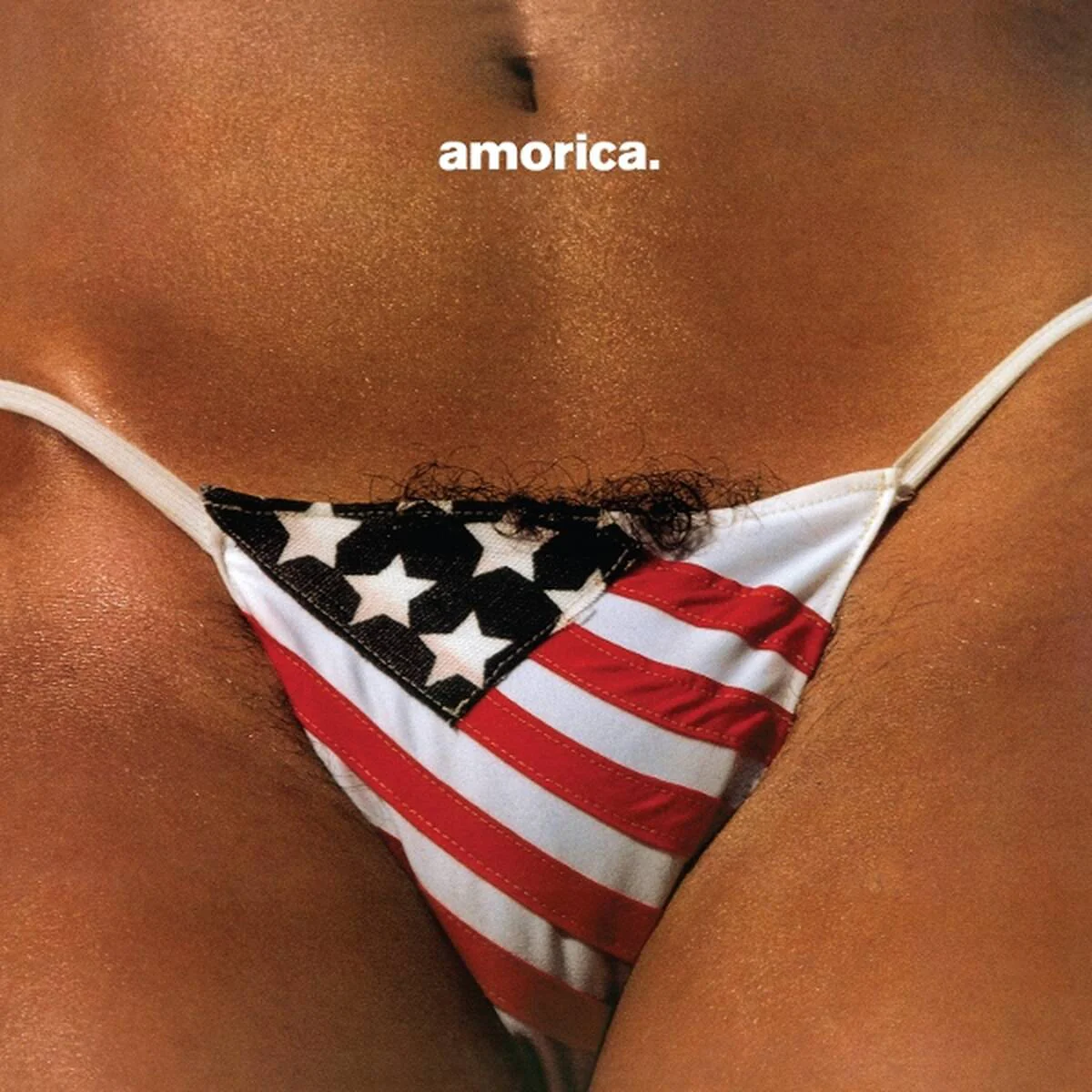 The Black Crowes - Amorica (LP) - Image 2
