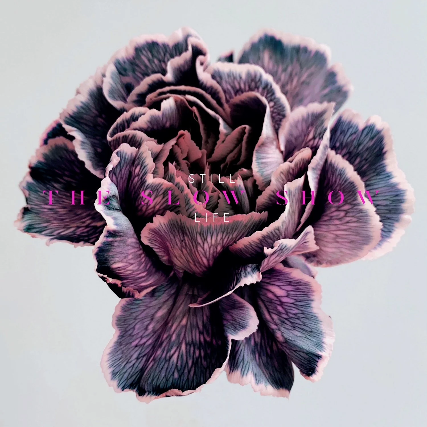The Slow Show - Still Life (White Vinyl)