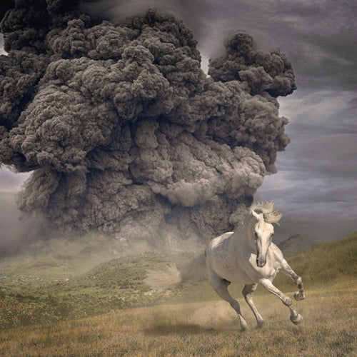 The White Buffalo - Year Of The Dark Horse (Opaque Grey Vinyl)