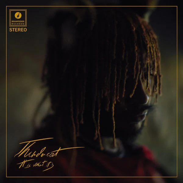 Thundercat - This Is What It Is (Red Vinyl LP) - Image 2