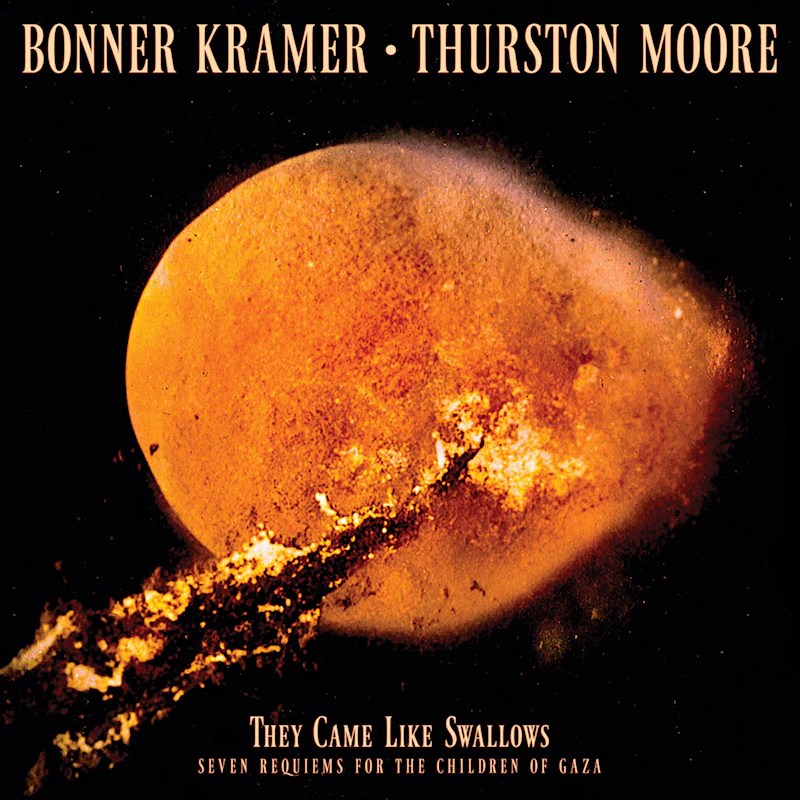 Thurston Moore & Bonner Kramer - They Came Like Swallows (LP)