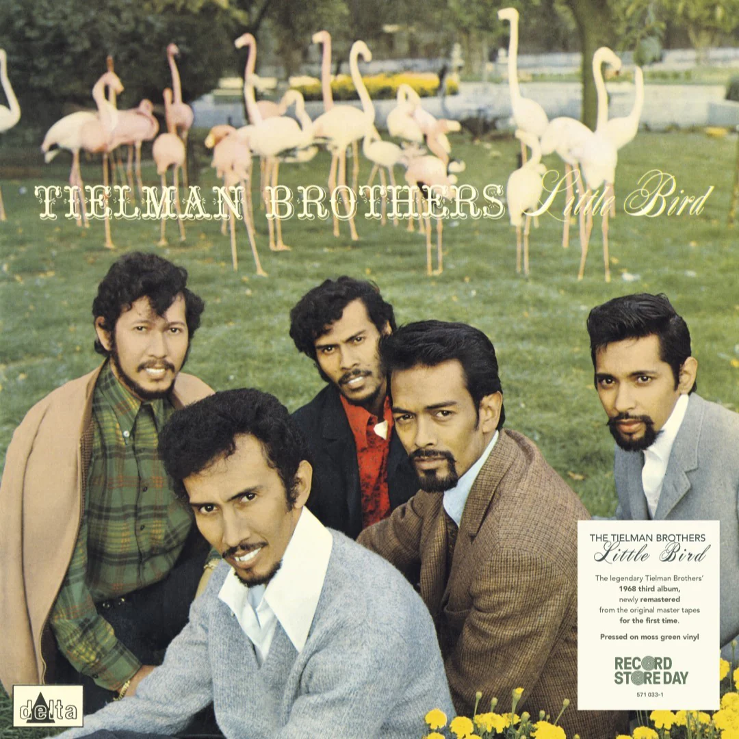 Tielman Brothers - Little Bird (Moss Green Vinyl LP) - Image 2