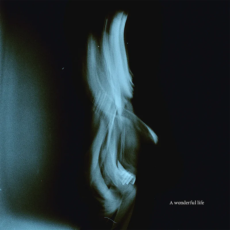 Tom Odell - A Wonderful Life (LP) - Image 2