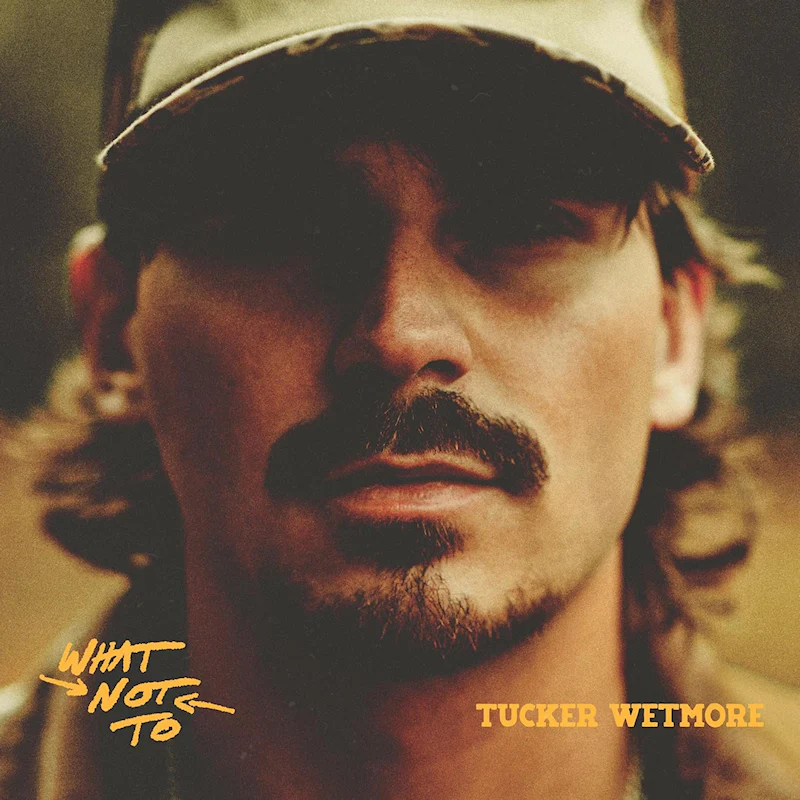 Tucker Wetmore - What Not To (LP) - Image 2