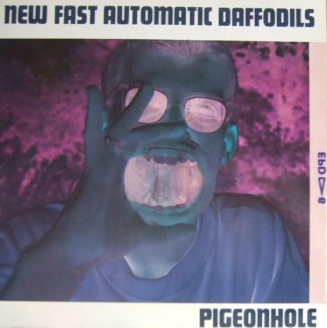 USED - New Fast Automatic Daffodils - Pigeonhole