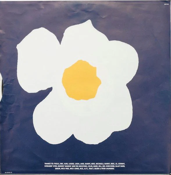 USED - New Fast Automatic Daffodils - Pigeonhole - Image 3