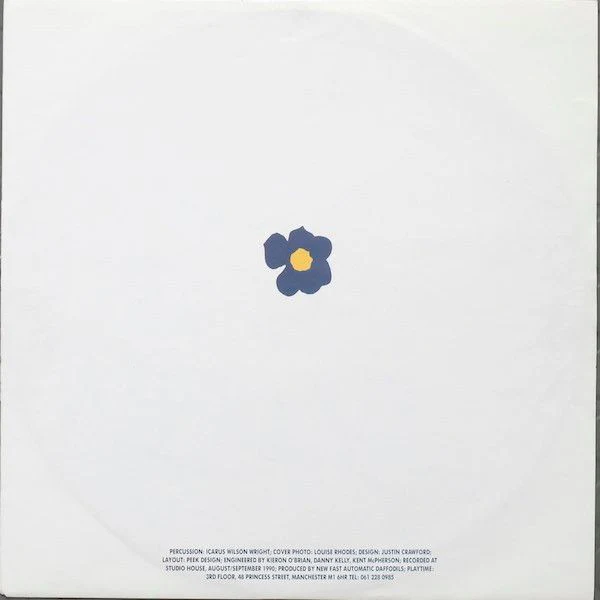 USED - New Fast Automatic Daffodils - Pigeonhole - Image 4