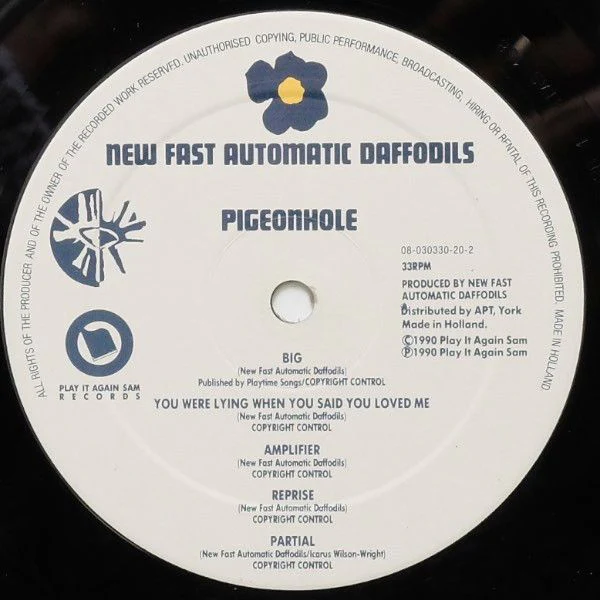 USED - New Fast Automatic Daffodils - Pigeonhole - Image 6