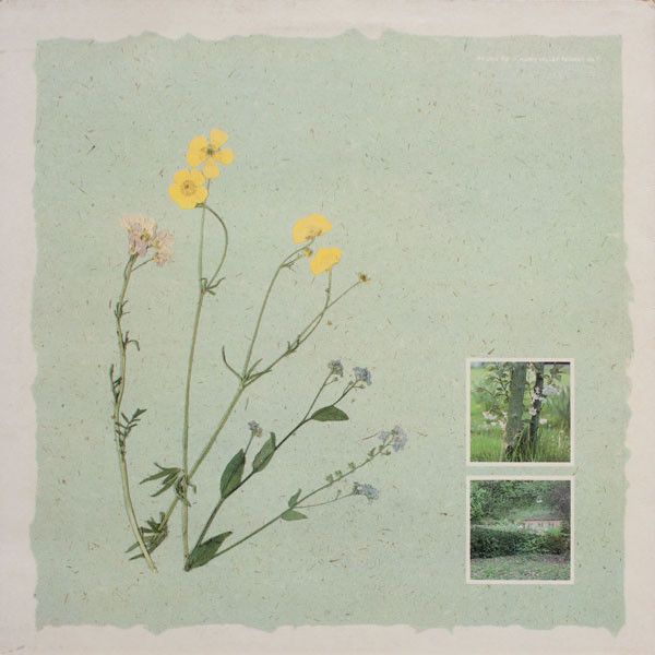 USED - Virginia Astley - From Gardens Where We Feel Secure - Image 2