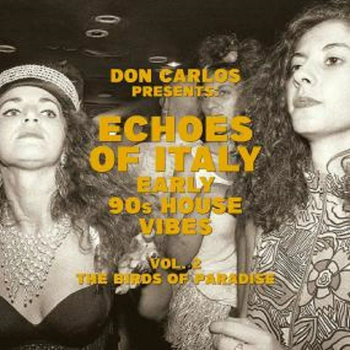 V/A - Compiled by Don Carlos - Echoes of Italy – the Birds of Paradise – Early 90s House Vibes Vol.2 (LP)