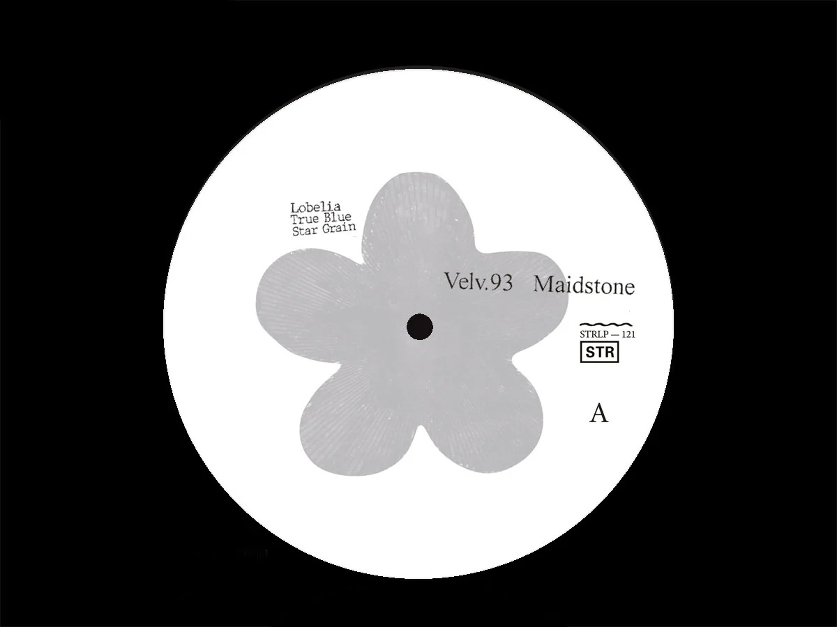Velv.93 - Maidstone (LP) - Image 2