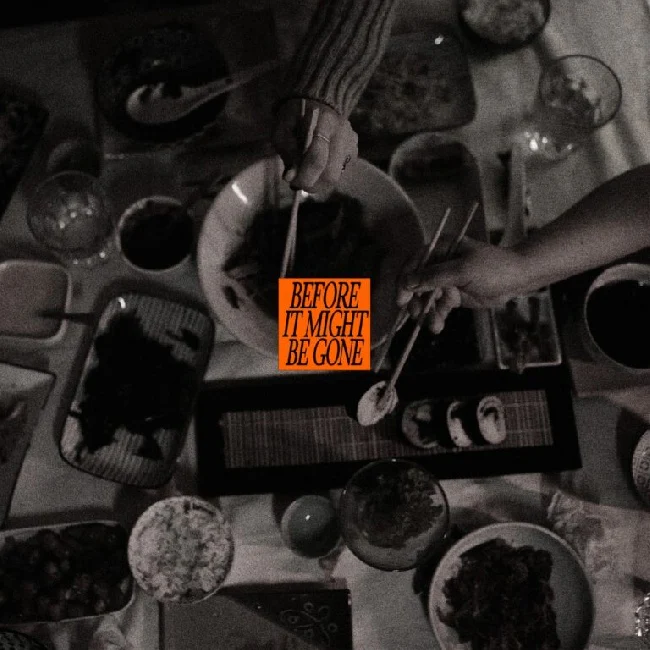 Vices, The - Before It Might Be Gone (Deluxe) (Green Leaves Vinyl 10")