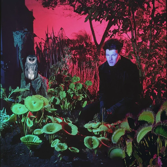 Vjeze Fur - Tuinieren (LP)