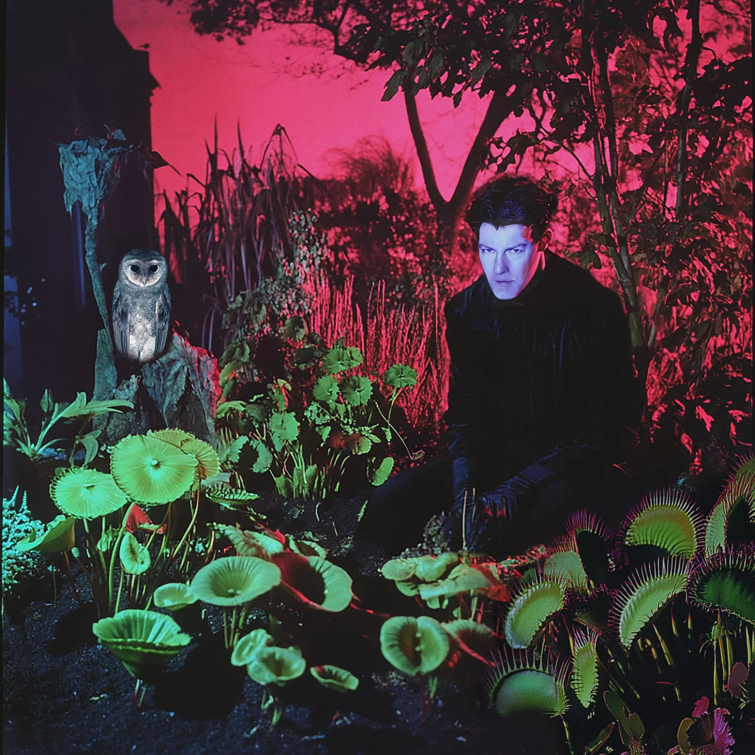 Vjeze Fur - Tuinieren (LP) - Image 2