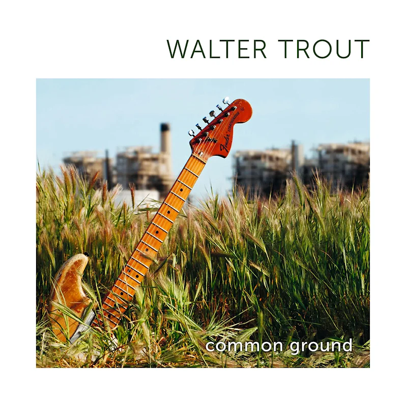 Walter Trout - Common ground (Green Vinyl LP) - Image 2
