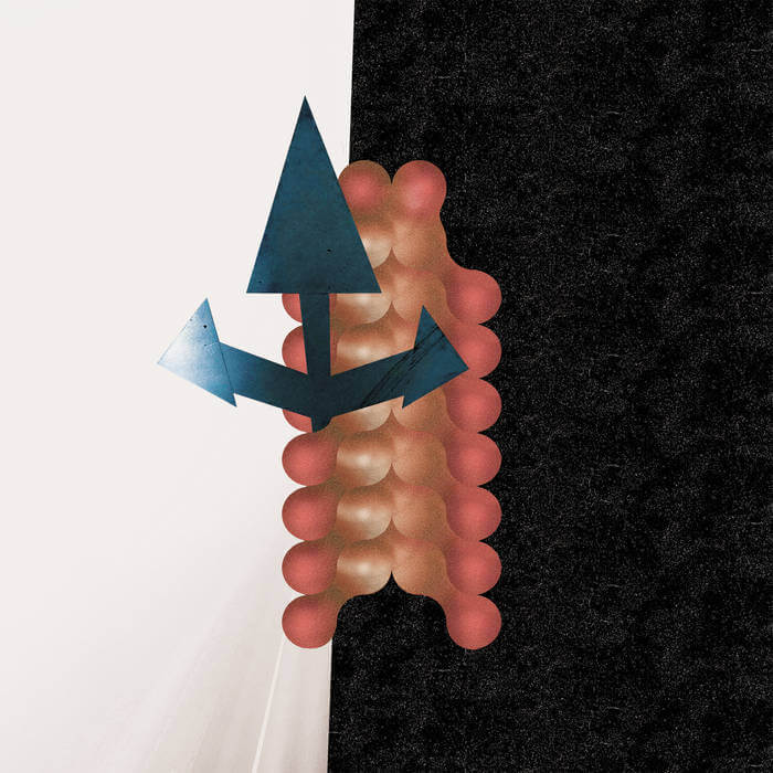 Wata Igarashi & Polygonia - Cross Passage (12")
