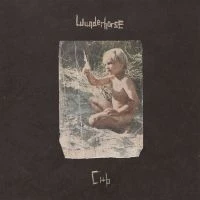 Wunderhorse - Cub (Crystal Clear Vinyl LP) - Image 2